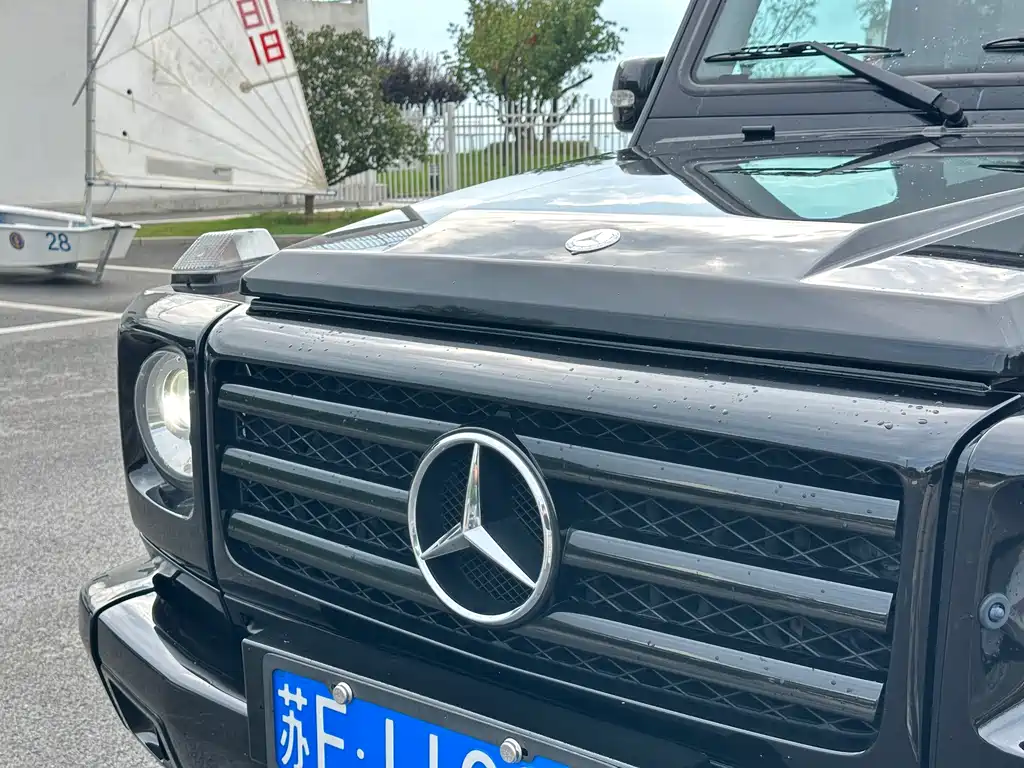 Mercedes-Benz G-Class 2010 — фото 12