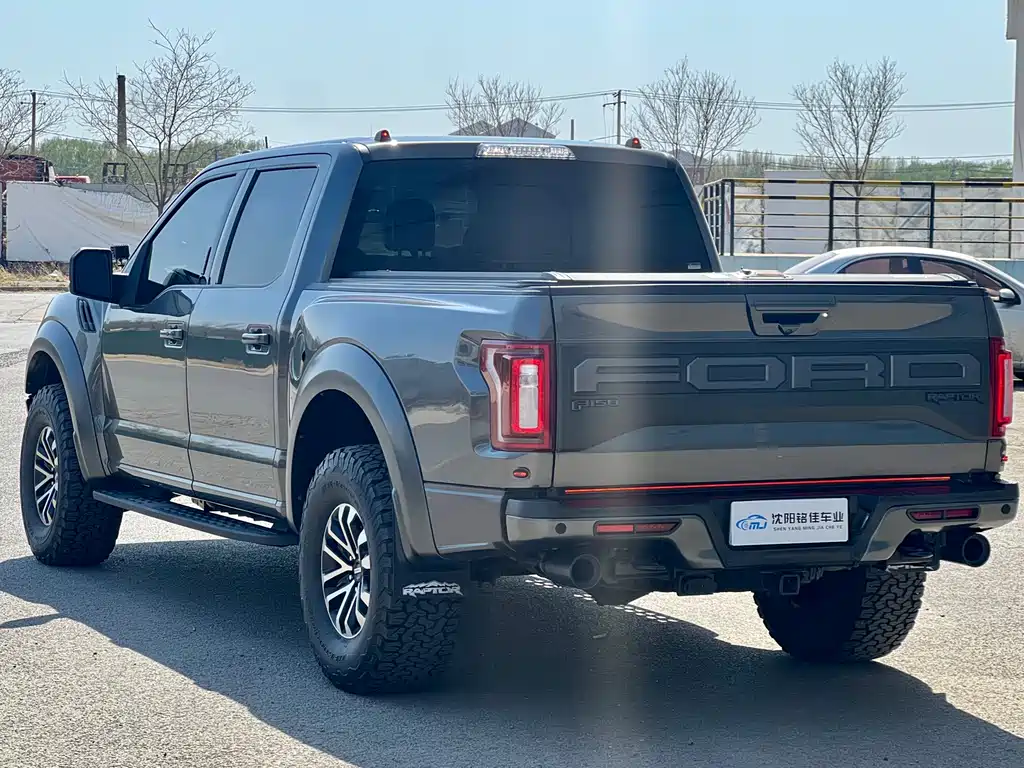 Ford F-150 Raptor 2019 — фото 14