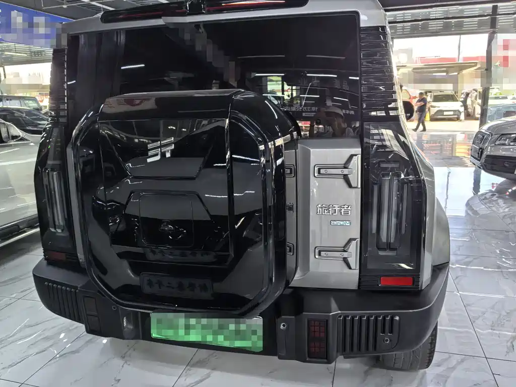 Shanhai Traveller C-DM 2024 — фото 5