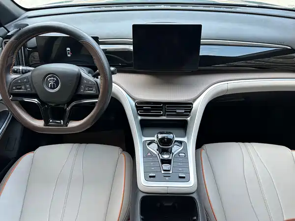 BYD Song Pro New Energy 2024