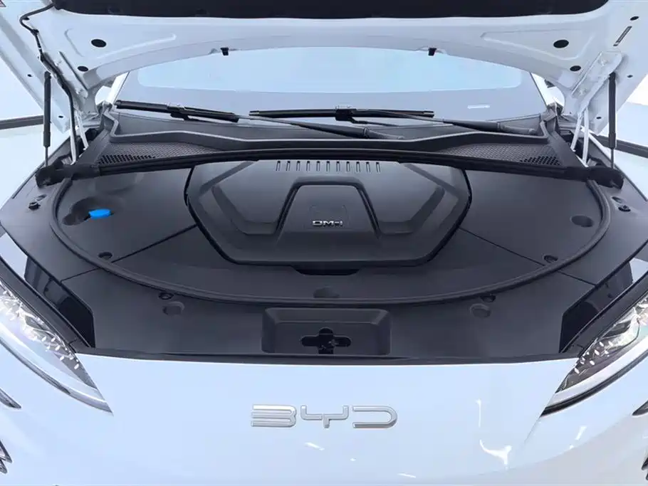 BYD PLUS New Energy 2024 — фото 10