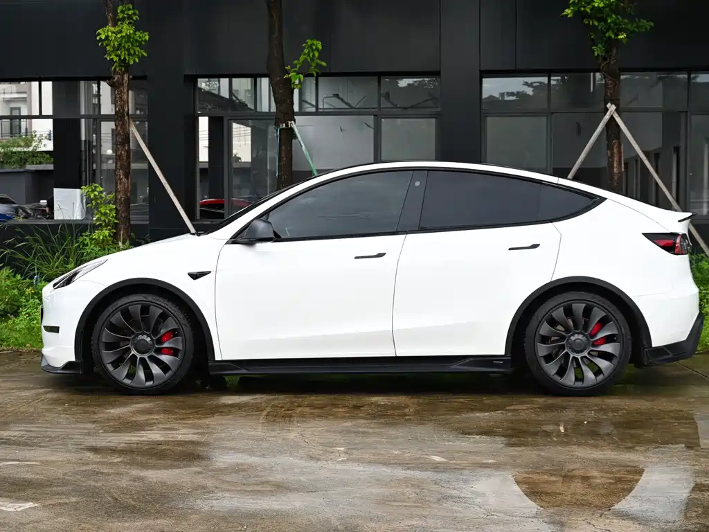 Tesla Model Y 2023 — фото 4