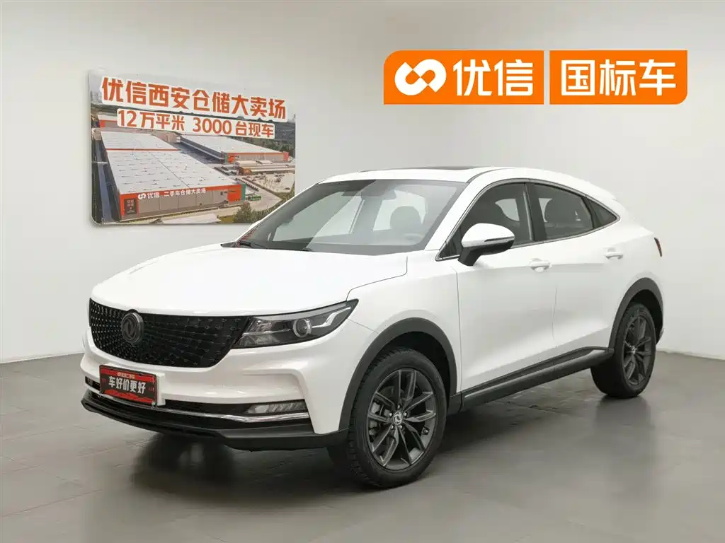 Fengguang ix5 2021