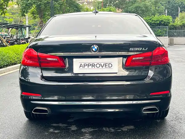 BMW 5 Series 2019