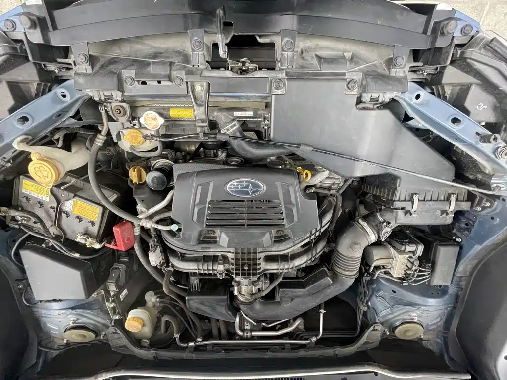 Subaru Forester 2019 — фото 20