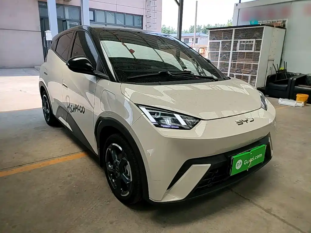 BYD Seagull 2024