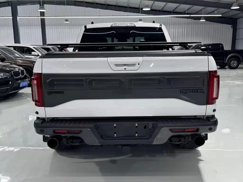 Ford F-150 Raptor 2019 — фото 8