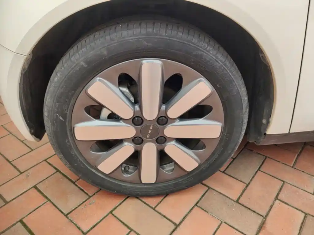 Ora Black Cat 2021 — фото 23