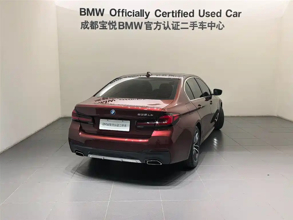 BMW 5 Series New Energy 2022