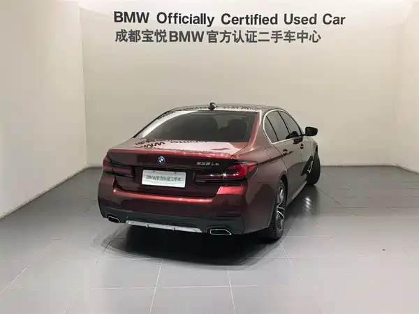 BMW 5 Series New Energy 2022