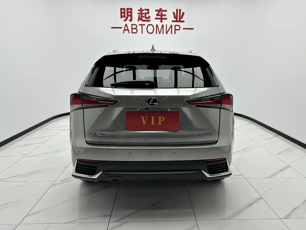 Lexus NX 2020 — фото 10