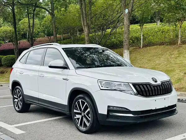Skoda Kamiq 2024