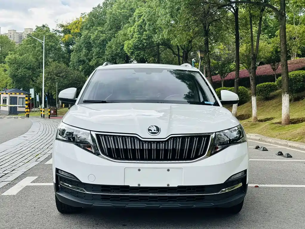 Skoda Kamiq 2024 — фото 2