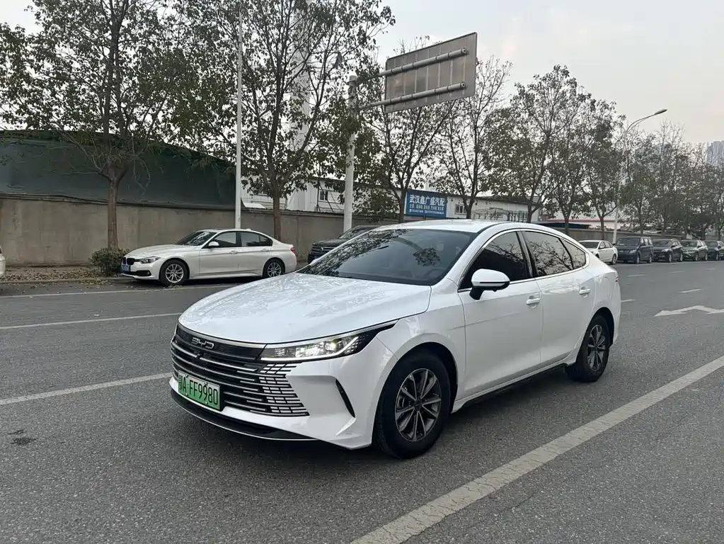 BYD Destroyer 05 2024