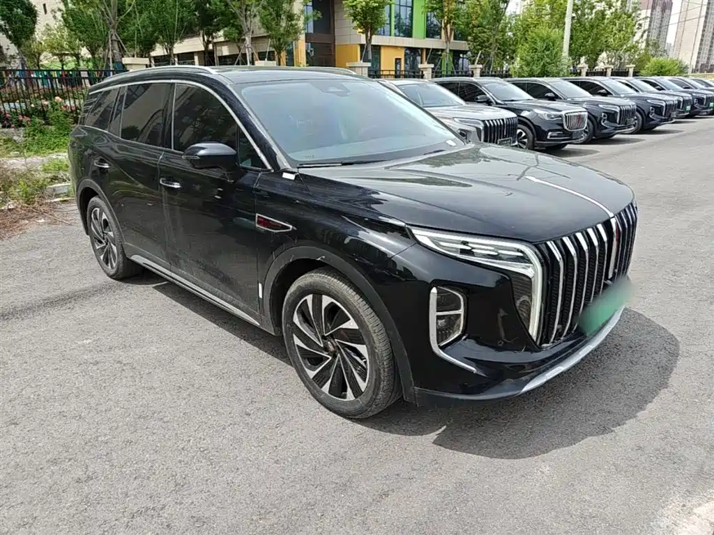 Hongqi HS7 PHEV 2024 — фото 4