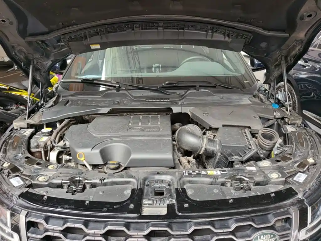 Land Rover Evoque 2020 — фото 20