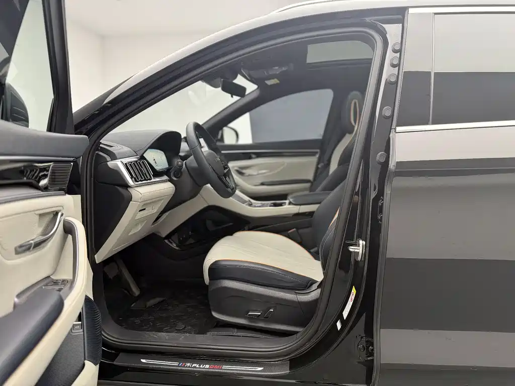 BYD PLUS New Energy 2024 — фото 16