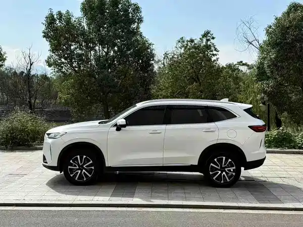Haval H6 2021