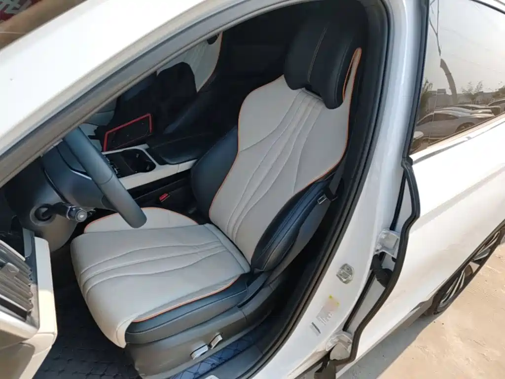 BYD PLUS New Energy 2024 — фото 15