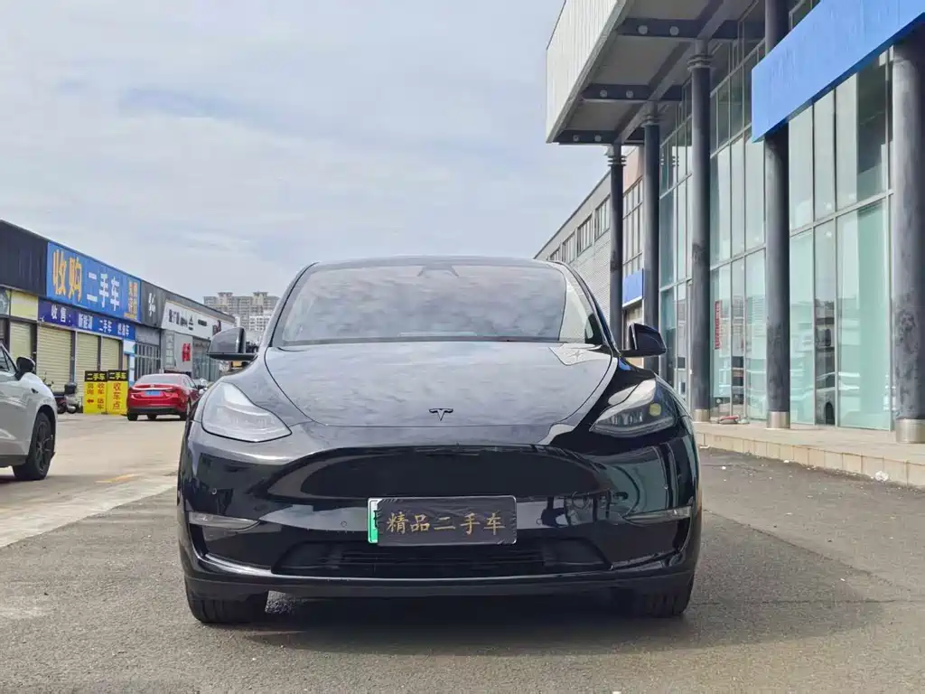 Tesla Model Y 2021 — фото 2