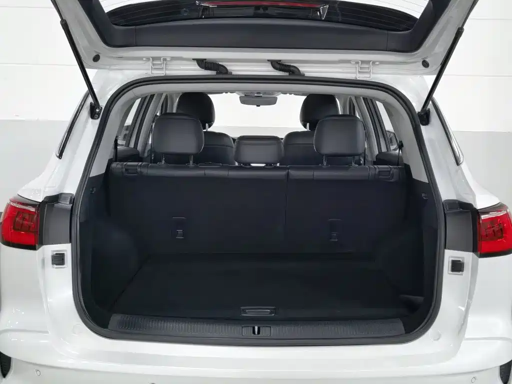 Roewe RX5 MAX 2020 — фото 16