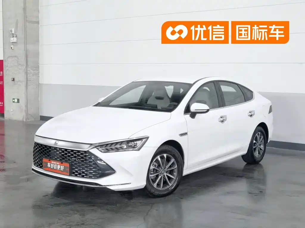 BYD Qin PLUS 2023 — фото 1