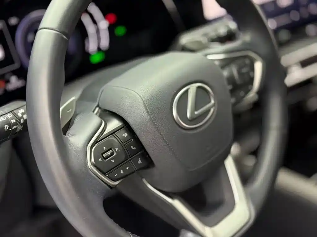 Lexus RX 2024 — фото 13