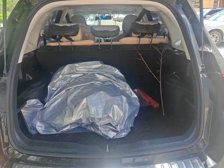 Haval H6 2020