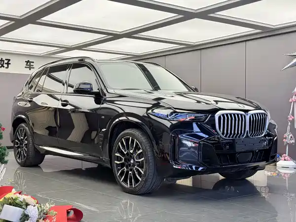 BMW X5 2024