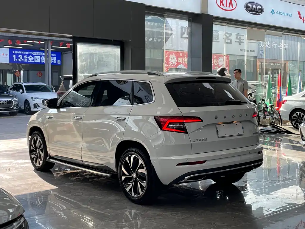 Skoda Karoq 2022 — фото 13