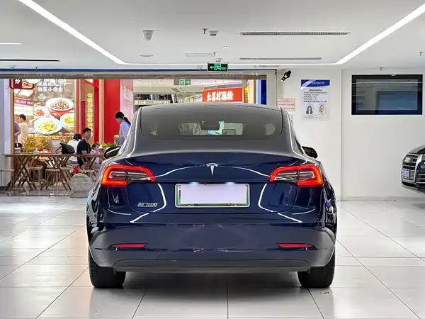 Tesla Model 3 2019