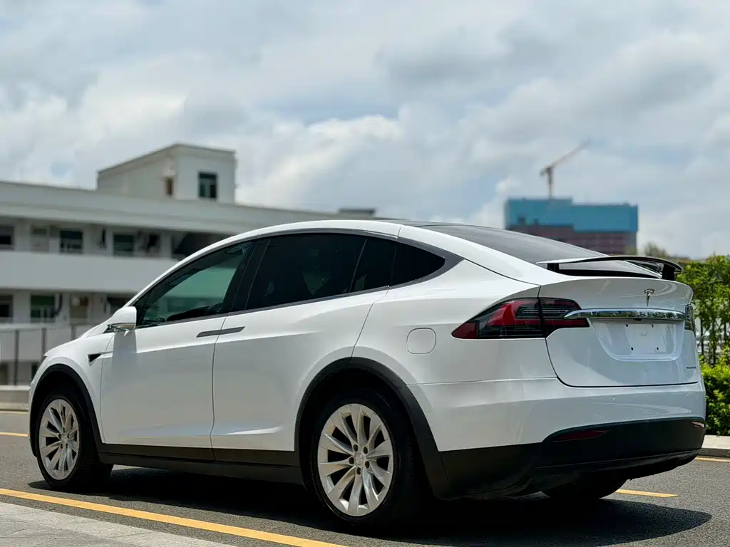 Tesla Model X 2019 — фото 5