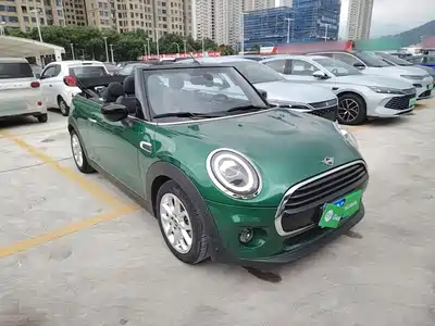 MINI MINI 2021