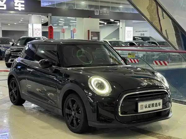 MINI MINI 2024