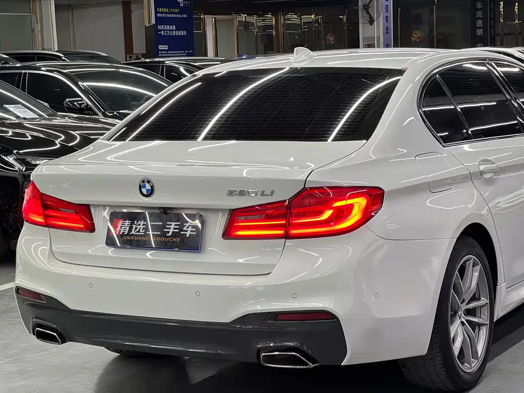 BMW 5 Series 2019 — фото 9