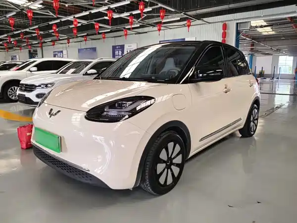 Wuling Bingo 2025