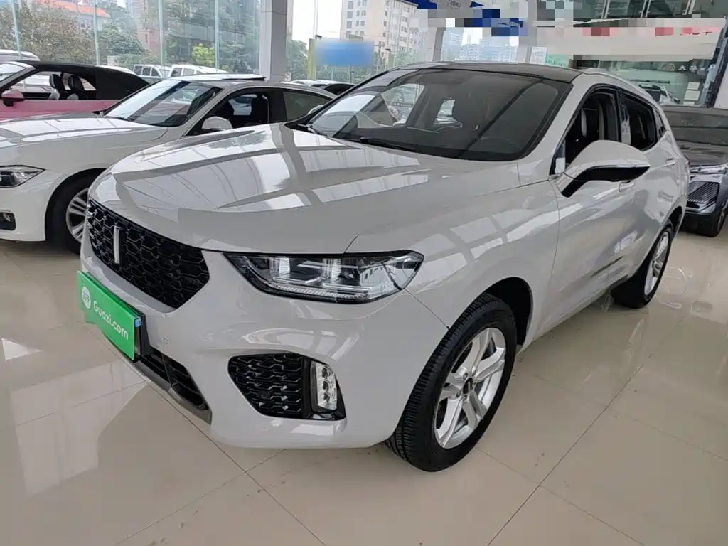 Wey VV5 2019