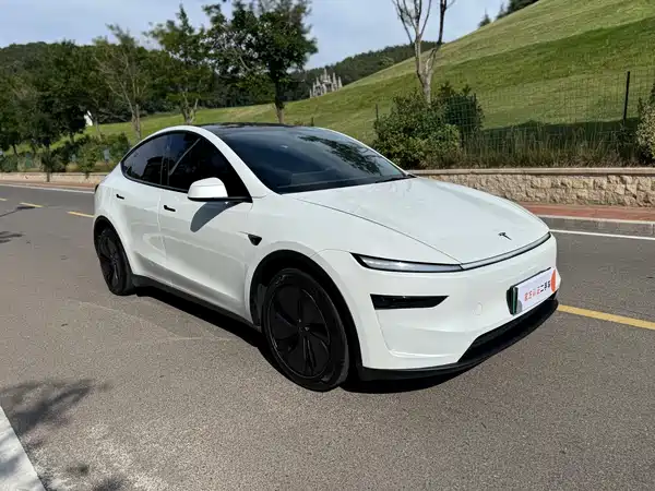 Tesla Model Y 2025