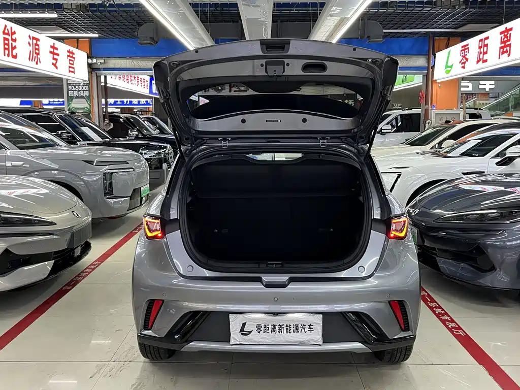 BYD Dolphin 2023 — фото 10