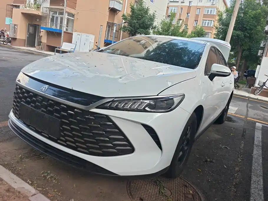 BYD Qin PLUS 2025 — фото 1