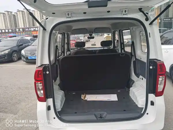 Wuling Zhiguang New Energy 2026