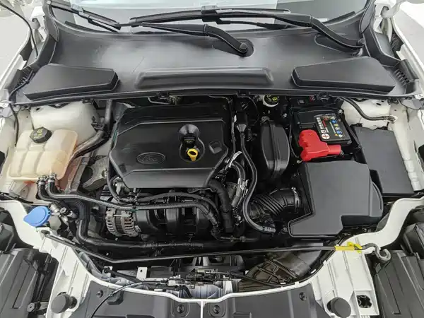 Ford Escort 2019