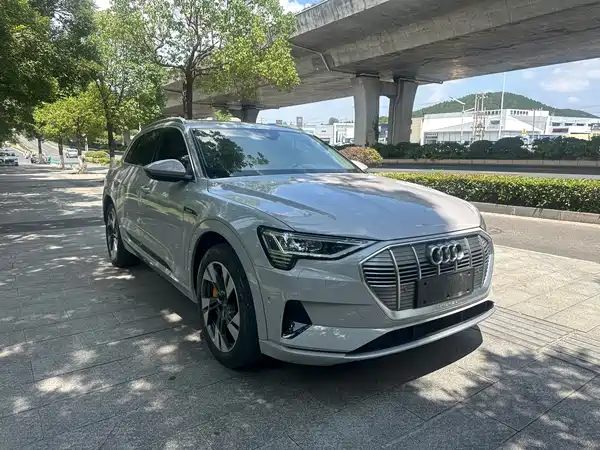 Audi e-tron 2021