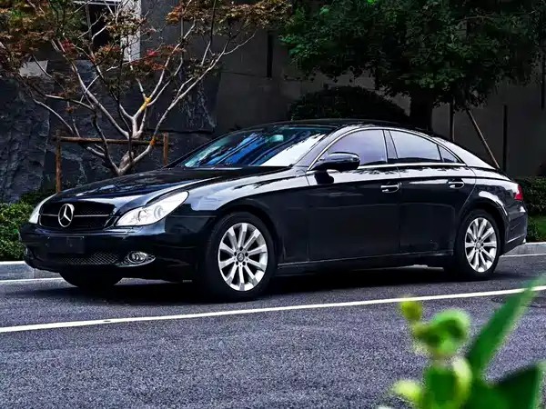 Mercedes-Benz CLS 2010