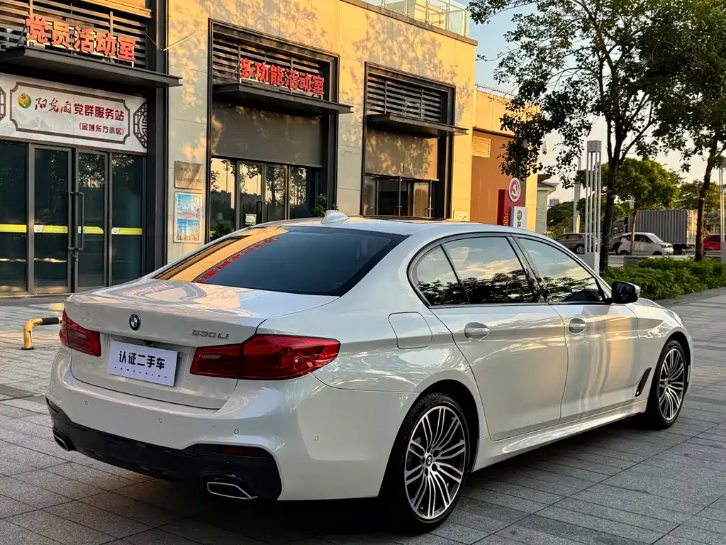 BMW 5 Series 2019 — фото 14