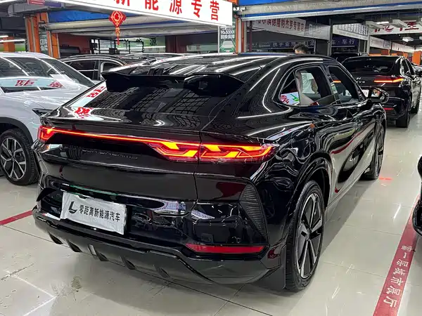 BYD Song L EV 2024