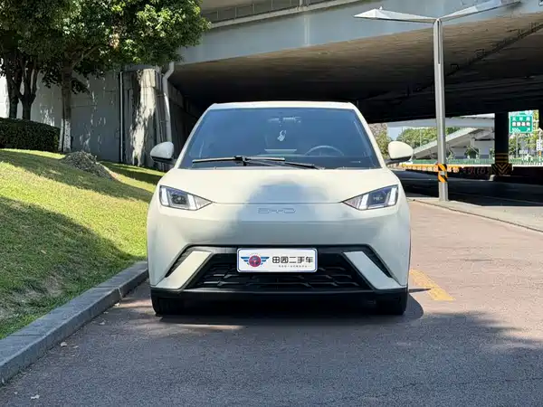 BYD Seagull 2025