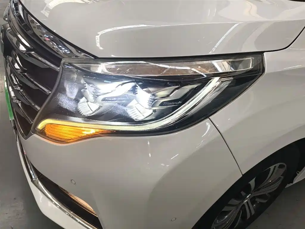 GAC Motor Trumpchi M8 2019 — фото 24