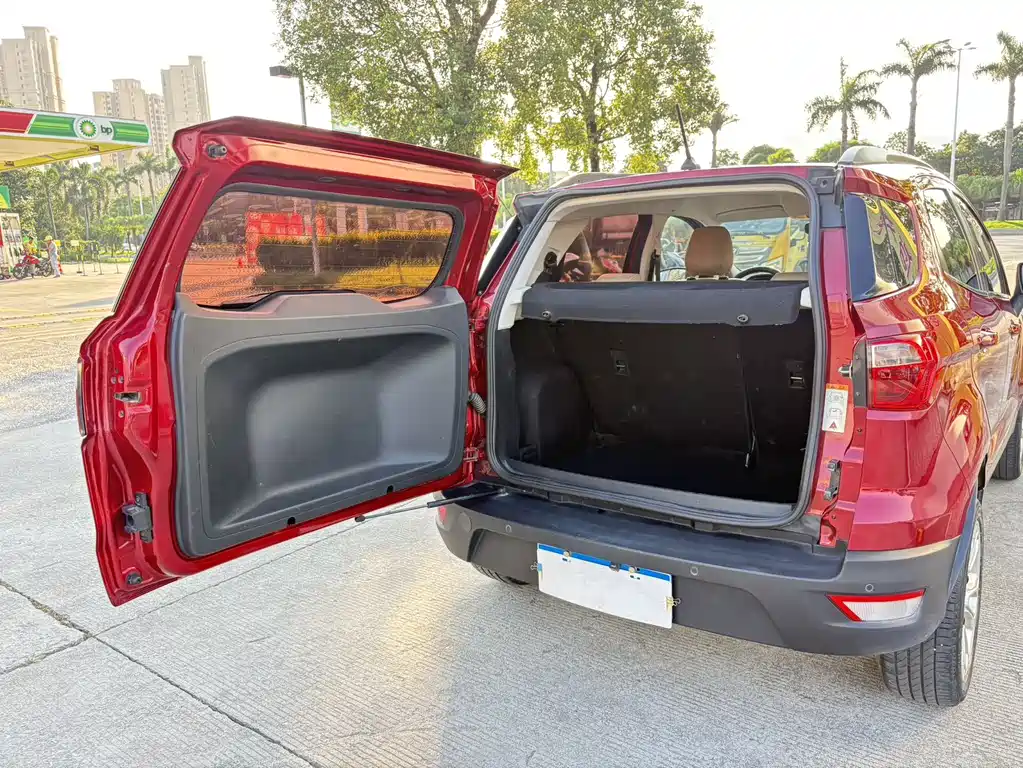Ford Ecosport 2017 — фото 13