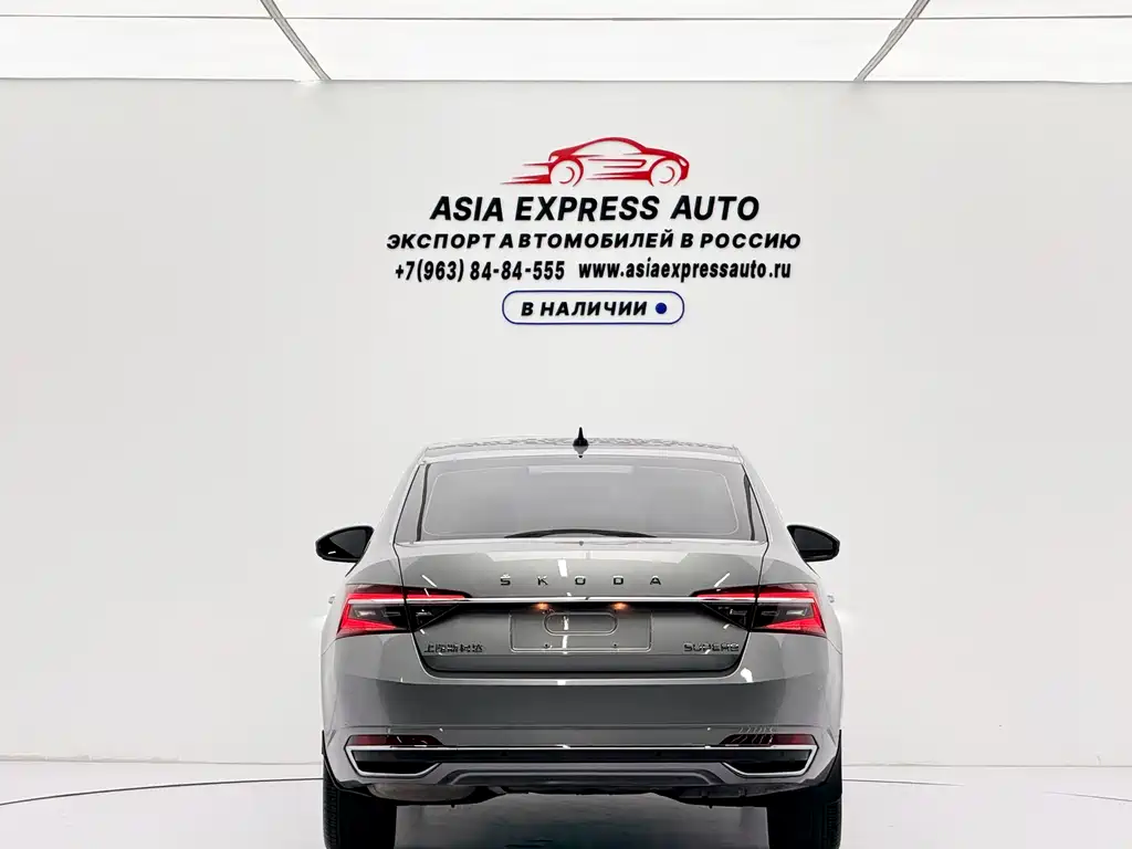 Skoda Speedy 2024